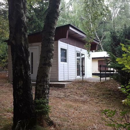 Bungalowdorf Klein Budelsdorf Altenberg المظهر الخارجي الصورة